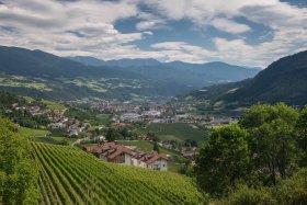 Ausblick auf die Bischofsstadt